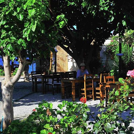 Melinda Pension & Restaurant Mesudiye  エクステリア 写真