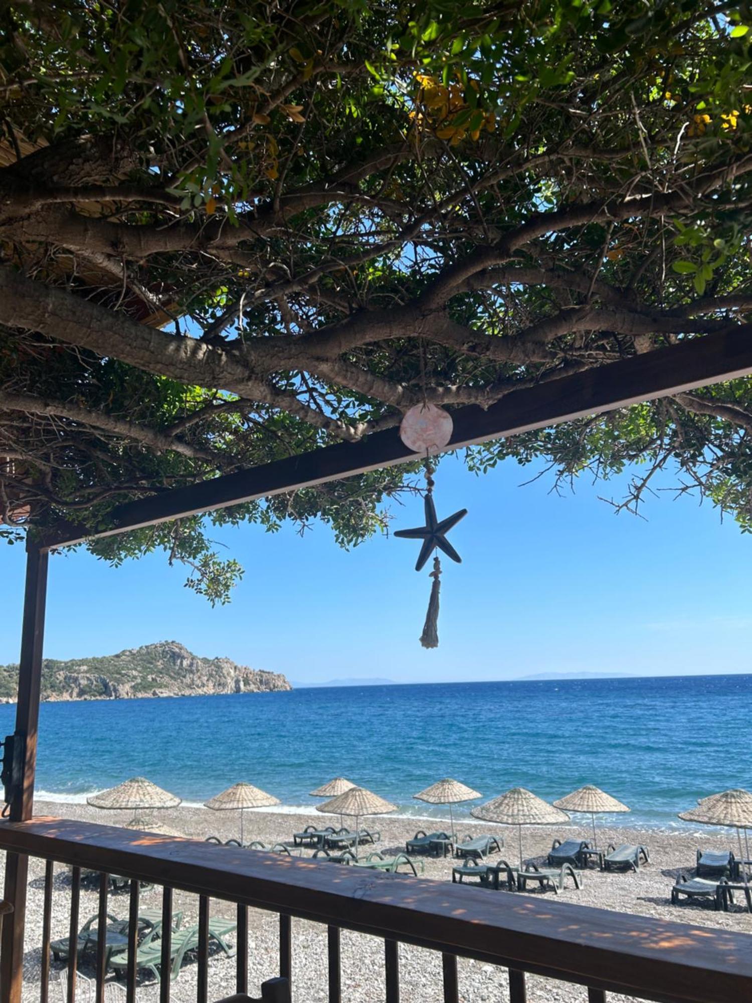 Melinda Pension & Restaurant Mesudiye  エクステリア 写真