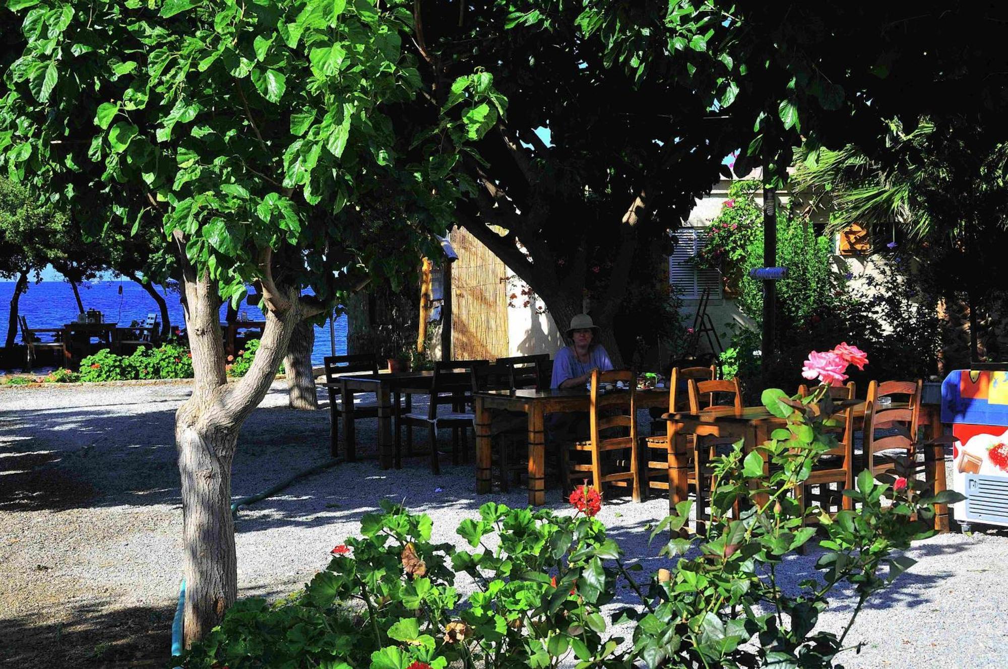 Melinda Pension & Restaurant Mesudiye  エクステリア 写真